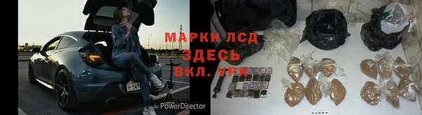 гашиш Богданович