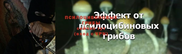 ALPHA-PVP Пестово