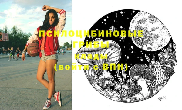 гашиш Богданович