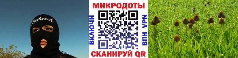 Галлюциногенные грибы мухоморы Туймазы